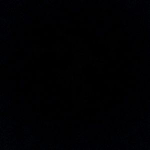 Meet your Posher, Julian